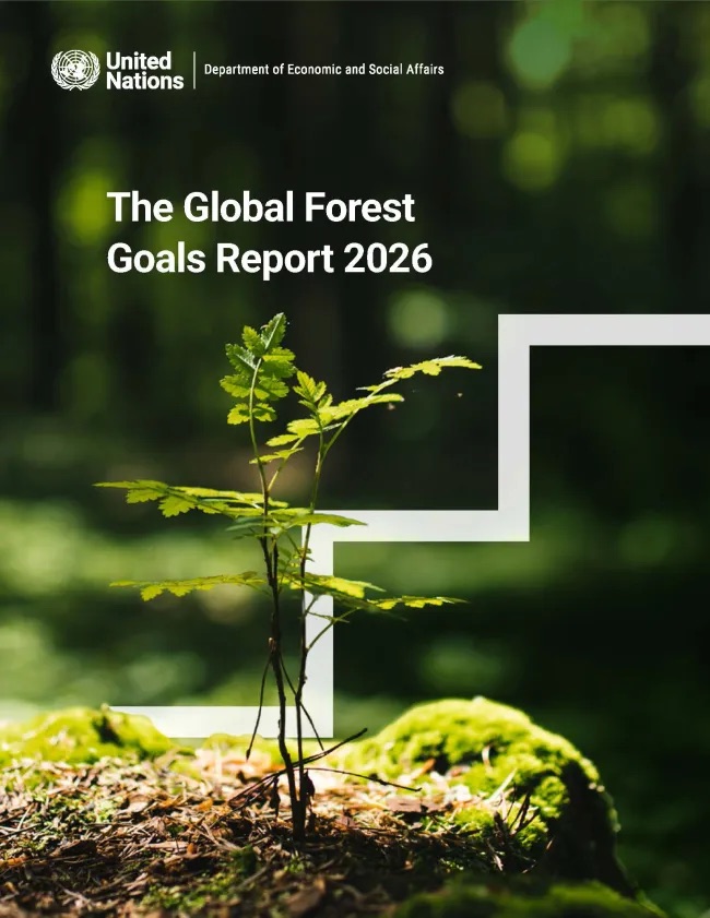 gfgreport2026-cover