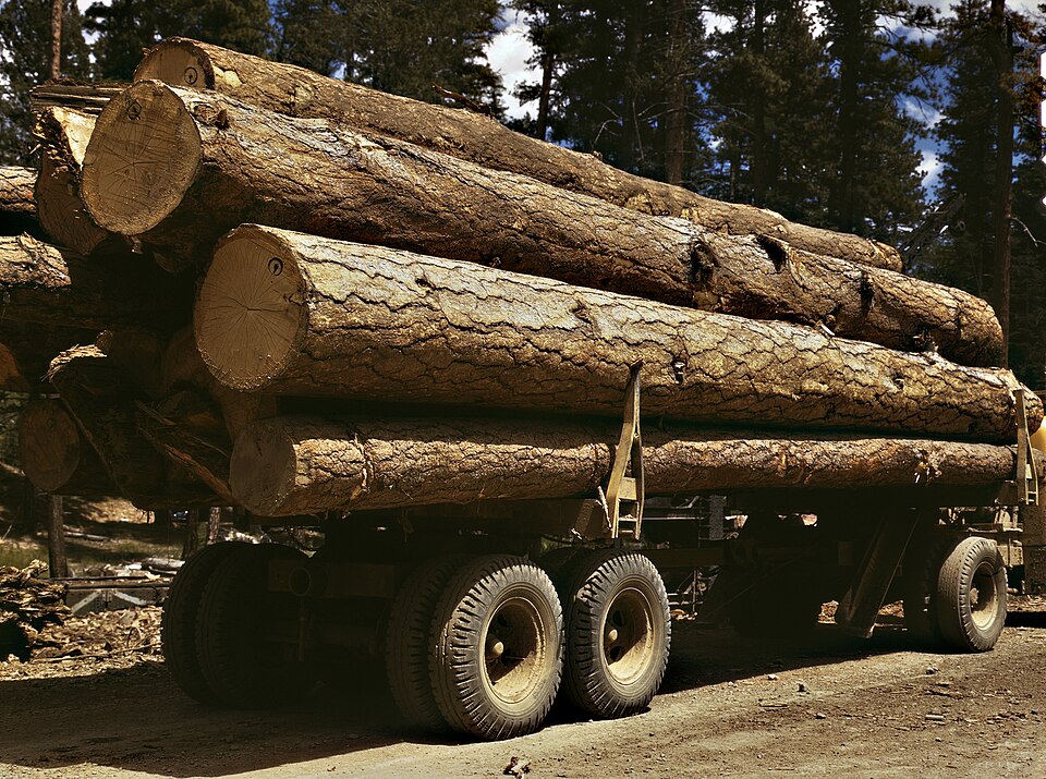 truck load of timber
