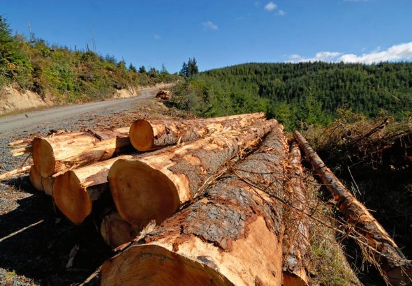 timber-production-forest-health-nevada-oregon-release